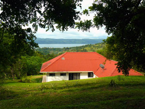 The house and lake as seen from the forested garden area at the top of the property.