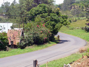 This is a view of the lake highway approaching from the direction of Tilaran.