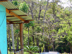 Across the highway is forest leading to Lake Arenal.