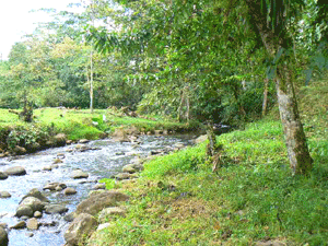 Streams, ponds, wells, and rivers make the Cabanga area beautiful as well as productive.