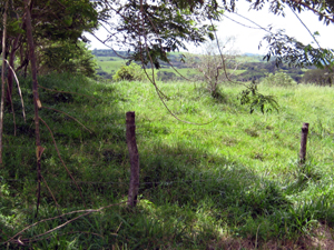 This wooded finca has a broad building site with distant valley and mountain views.
