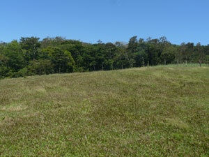 The top of the lot is close to the hilltop's protected forest. 