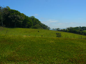 The view east toward the nearby but unseen lake. 