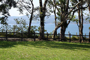 The lot as a whole-lake view across the road in front of the lot. 