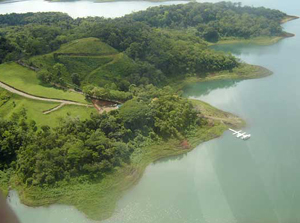 The 3/4-acre lot extends between the two roads visible, one of them in the trees in upper level of photo.